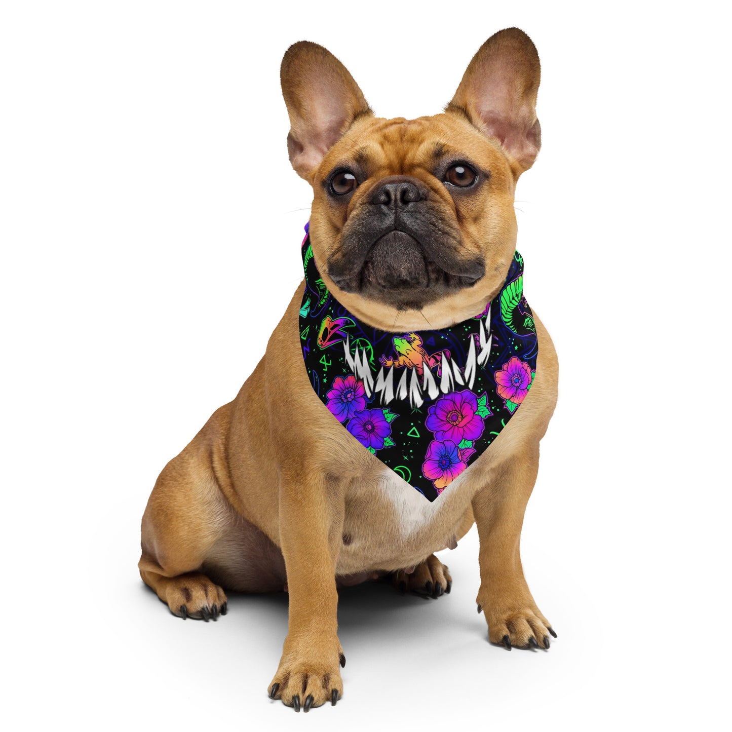 blacklight_glow_mushroom_bandana_full.jpg