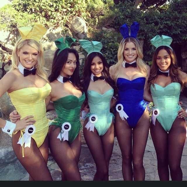Classic Playboy Bunny Costume Deluxe 8pc Sexy Halloween Costume