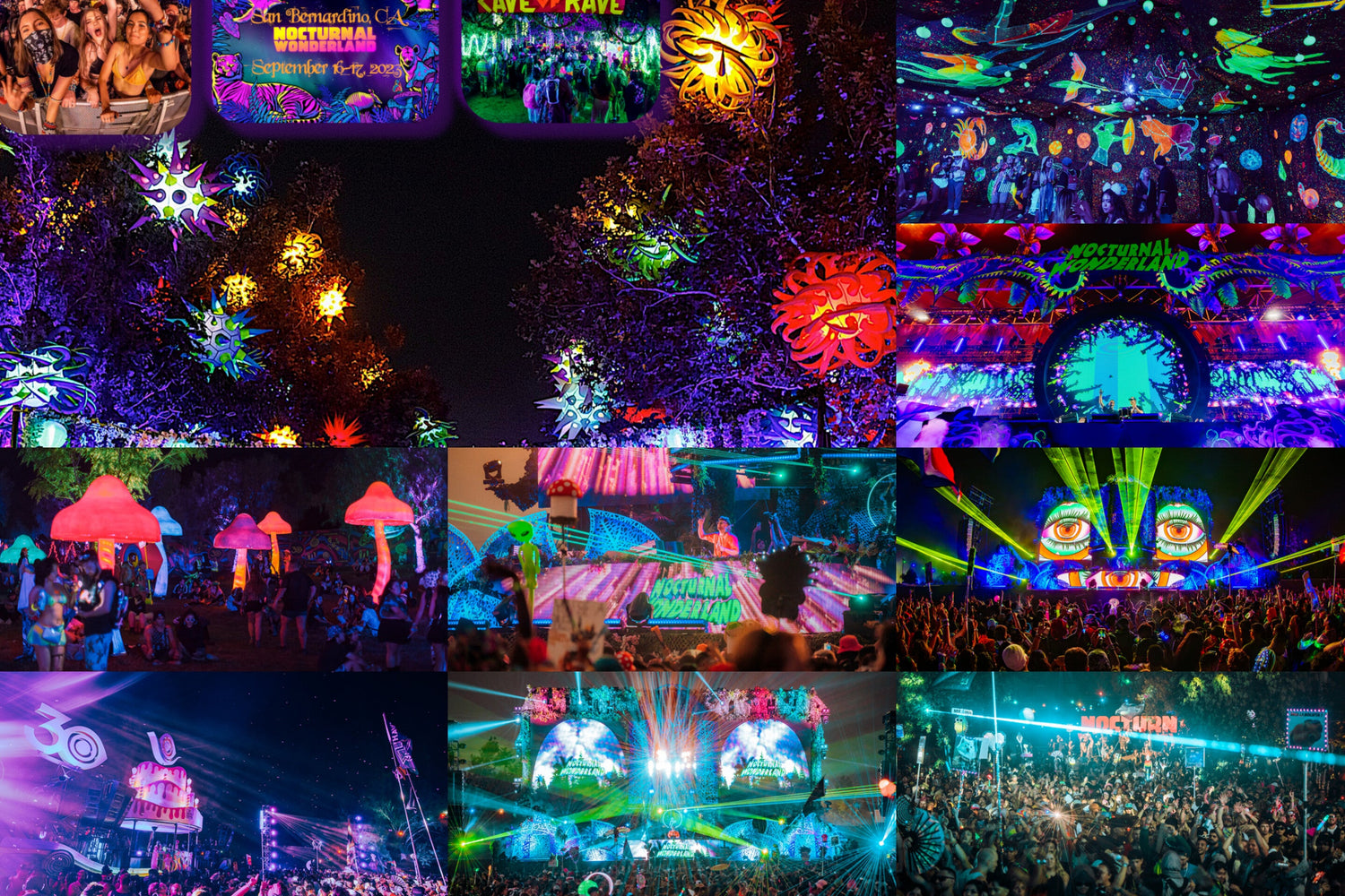 Nocturnal Wonderland Outfits