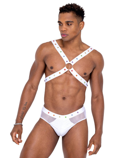 Men’s Pride Fishnet & Vinyl Briefs