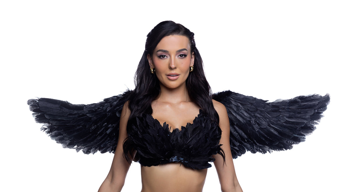 Costume Wings Accessory