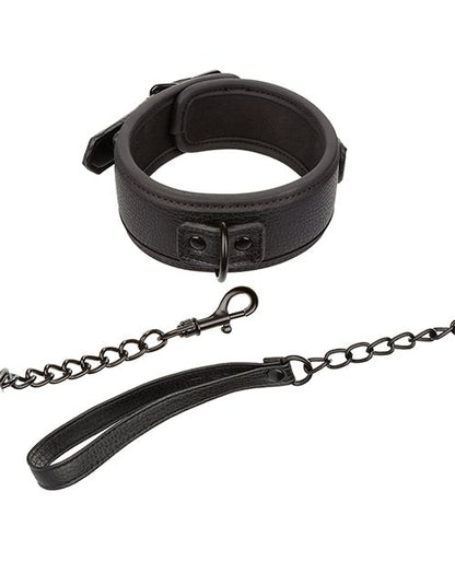 Nocturnal Festival to Fetish Detachable Collar and Leash