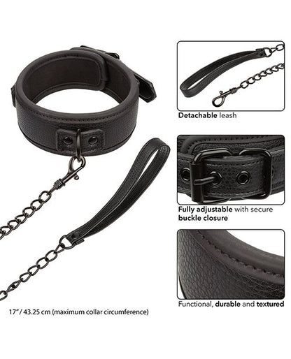 Nocturnal Festival to Fetish Detachable Collar and Leash