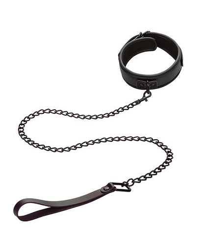 Nocturnal Festival to Fetish Detachable Collar and Leash